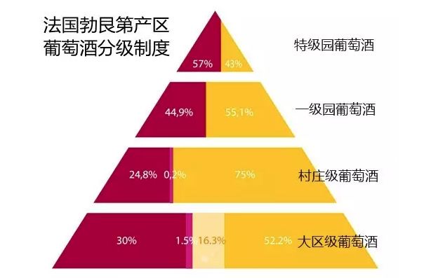 2025澳门和香港特马今晚开码,富强解答解释与落实展望